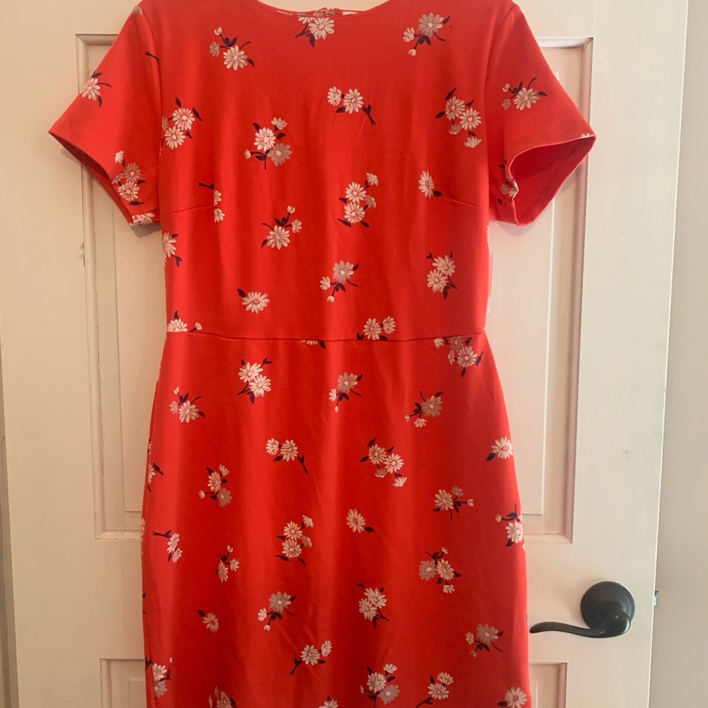 Cute Dress